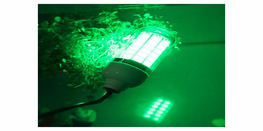 The Best Deep drop lights you can get